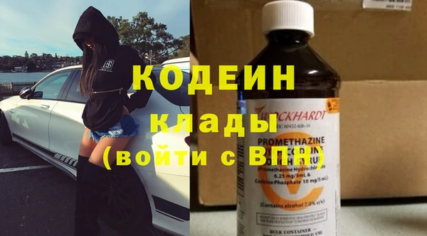 гашик Каменка