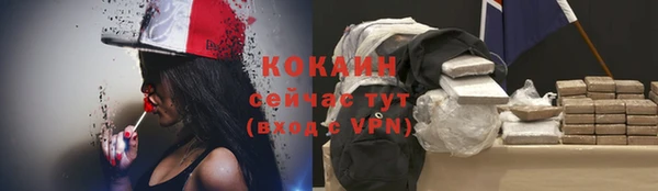дживик Баксан